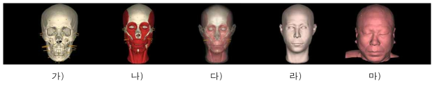 기존 피부두께 자료를 이용한 얼굴복원(남자, 61세). 가) 머리뼈와 피부두께기둥. 나) 머리뼈와 근육모델. 다) 복원얼굴의 투영상. 라) 복원얼굴. 마) 실제얼굴