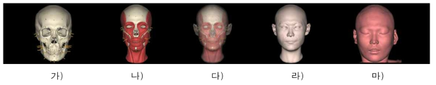 기존 피부두께 자료를 이용한 얼굴복원(여자, 25세). 가) 머리뼈와 피부두께기둥. 나) 머리뼈와 근육모델. 다) 복원얼굴의 투영상. 라) 복원얼굴. 마) 실제얼굴