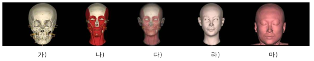 기존 피부두께 자료를 이용한 얼굴복원(여자, 42세). 가) 머리뼈와 피부두께기둥. 나) 머리뼈와 근육모델. 다) 복원얼굴의 투영상. 라) 복원얼굴. 마) 실제얼굴