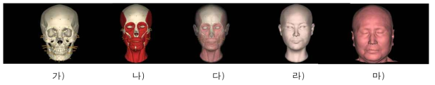 기존 피부두께 자료를 이용한 얼굴복원(여자, 67세). 가) 머리뼈와 피부두께기둥. 나) 머리뼈와 근육모델. 다) 복원얼굴의 투영상. 라) 복원얼굴. 마) 실제얼굴