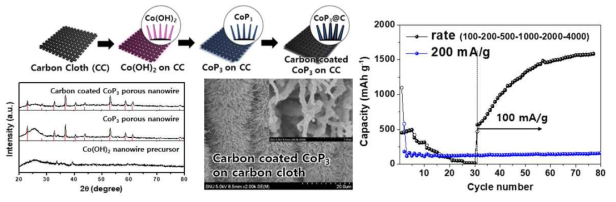 CoP3의 합성 및 전기화학 특성 평가