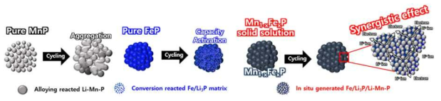 MnP, MnP/FeP 및 Mn0.5Fe0.5P 활물질의 충-방전 거동에 대한 모식도