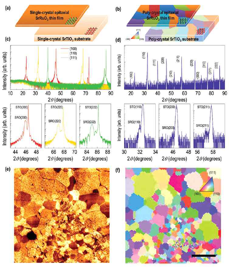 일반적인 에피 단결정 박막 과 본 연구에서 제작한 에피 다결정박막의 비교. 에피 (a) 단결정 및 (b) 다결정 박막 제작 모식도. 에피 (c) 단결정 및 (d) 다결정 박막의 XRD θ-2θ 스캔 결과. 에피 다결정 박막의 (d) AFM 및 (e) EBSD 표면 이미지. [S. Woo et al., Nanoscale 10, 4377 (2018)]