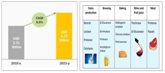 세계 식품효소시장 규모 및 식품산업에 사용되는 효소 (출처: https://www.slideshare.net/shweta1095/enzymes-in-food-industry)
