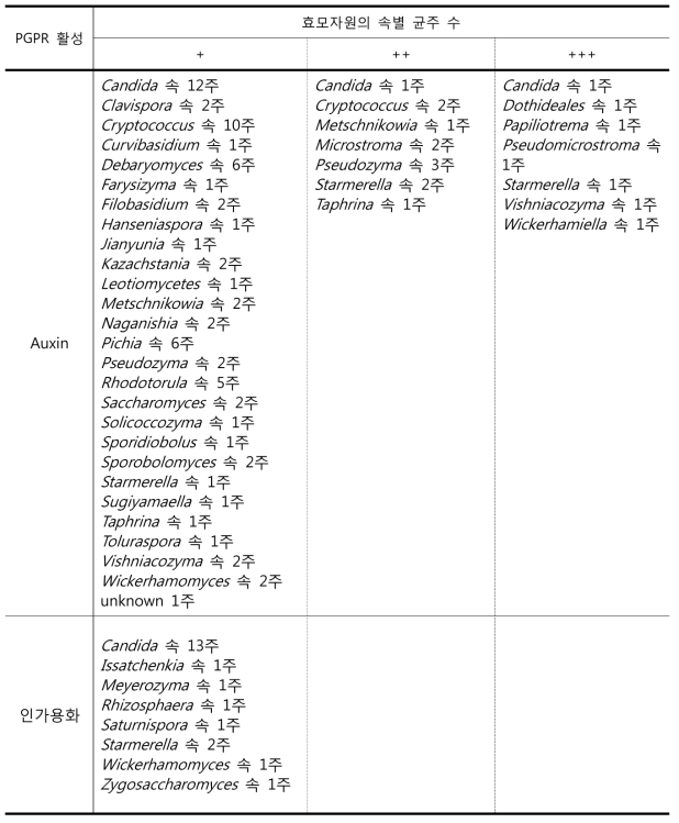 효모자원의 PGPR 활성 분석 결과