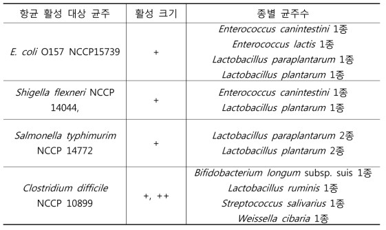 항균활성능이 있는 혐기성세균의 속별 분포