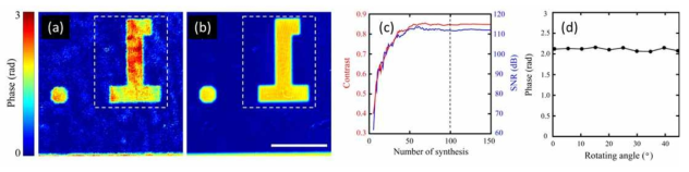 복굴절 해상도 표준 물체의 개구수 합성 편광 영상 (a) 단일 촬영한 존스행렬의 위상 영상 (b) 합성 후 존스행렬 위상 영상, scale bar: 100 m (c) 합성 영상 개수에 따른 SNR의 향상 (d) 물체의 회전 각도에 따른 optic-axis 사이의 위상지연 그래프