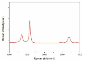 3차원 나노 다공성 그래핀 필름의 raman spectrum