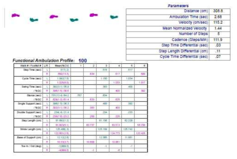 GAITRite를 이용하여 측정한 보행 기능 측정 결과표의 예시
