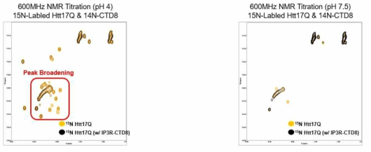 온도와 pH에 따른 15N-Labled Htt17Q 단독 상태 (노랑)와 IP3R-CTD8 결합상태 (검정)의 2D HSQC 스펙트럼