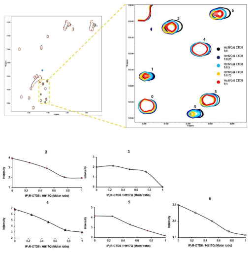 IP3R-CTD8 단백질에 따른 15N-Labled Htt17Q 단백질의 Intensity 감소