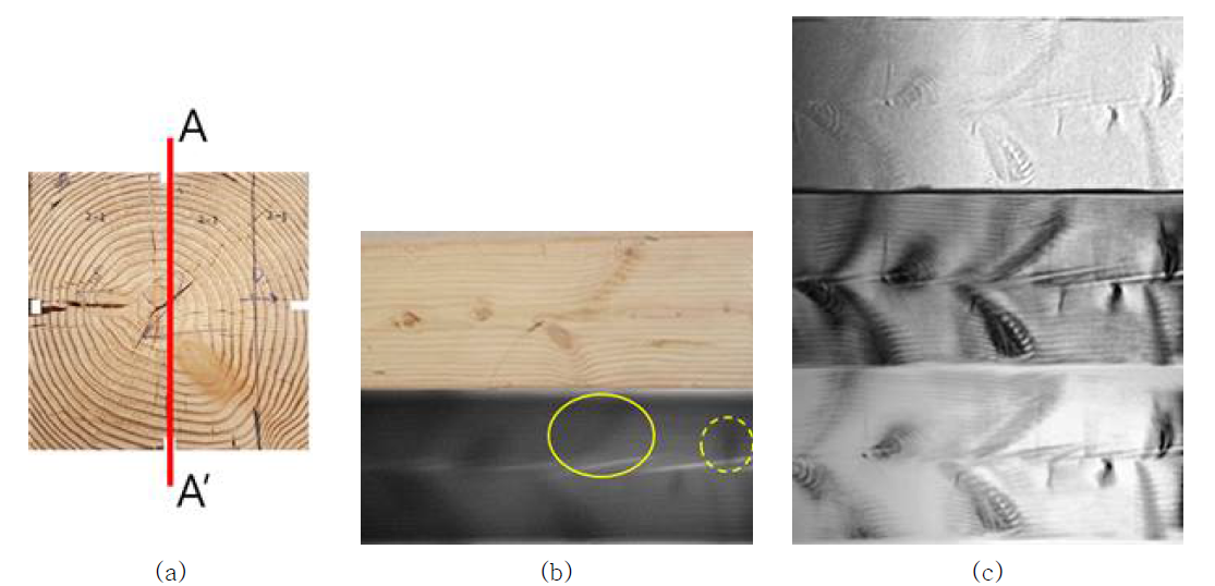 X선 단층영상촬영법의 결과 a: 목재의 재구성 단면 b: 필터 미적용 Shift-and-add 알고리듬 재구성 영상의 특징 (목재 표면영상, A-A’단면 필터 미적용 Shift-and-add 알고리듬 재구성 영상) (실선 : A-A’ 단면이 아닌 옹이-blurring, 점선 :A-A’단면에 위치한 옹이) c : 필터 적용 재구성 영상 (Hanning filter, Triangular filter, c: Bartlett filter)