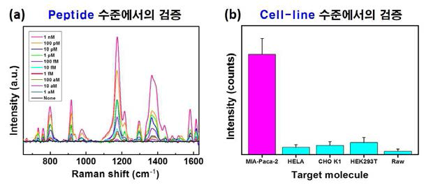 금 나노판 SERS 센서로 췌장암에 특이적인 바이오마커로 최근 알려진 GPC1을 (a) peptide 수준에서, (b) cell-line 수준 에서 고감도, 고특이적으로 검출한 결과