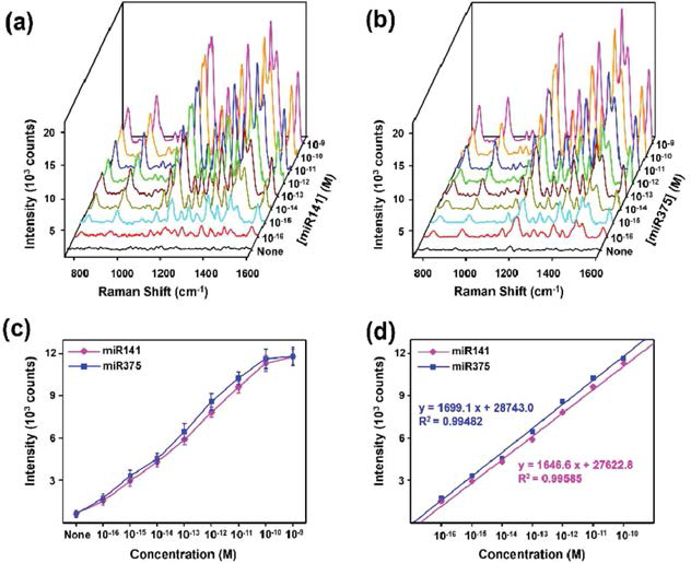 (a) miR141 농도에 대한 SERS 스팩트럼(b) miR375 농도에 대한 SERS 스팩트럼 (c) miR141, 375의 농도에 대한 SERS 스팩트럼 적분값 (d) miR141, 375의 농도에 대한 SERS 스팩트럼 적분값의 직선구간