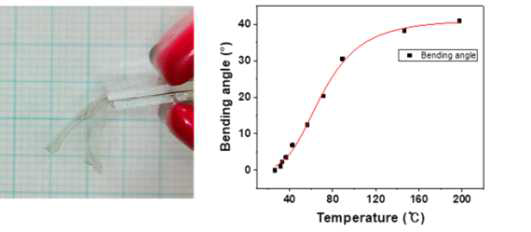 광폴딩 소재의 작동사진과 굽힘각과 온도 사이의 관계 그래프