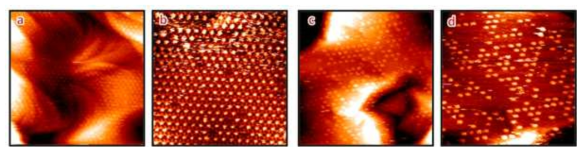 STM images of (a,b) TSB12 (host) : ZnPc (guest) and (c,d) TSB12 (host) : F16CuPc (guest) self-assembled monolayers. The STM was operated at the solution/solid interface. a,c: wide frame image ; b,d: zoom showing the details of TSB pore occupancy by ZnPc and F16CuPc molecules