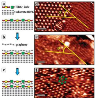 Four-component hybrid multilayer vdW heterostructure. (a-c) Schemes and (d-f) STM images of (a,d) bare and (b,e) graphene-covered co-existing brickwall and ZnPc-filled honeycomb molecular patterns formed by TSB12 molecules directly on HOPG surface, and (c,f) subsequent coverage of this graphene by a second layer of co-deposited ZnPc and TSB12 molecules showing similar assembly. Scale bars: (d-f) 10 nm. Tunnelling parameters: (d) 122pA, 1834mV, (e) 131pA, 1828mV, (f) 166pA, 1906mV