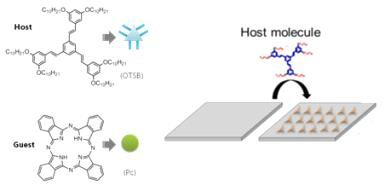 2D Host 분자를 이용한 공액 guest 분자의 구조 정렬화