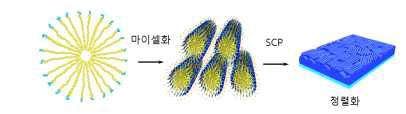 PEPG의 마이셀 형성으로 정렬성을 향상시킨 PEDOT