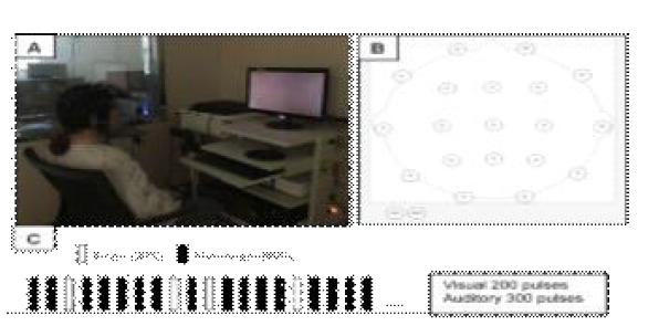 The screen undergoing ERPs implementation (A), scalp channel of ERP(B) and oddball protocal(C)