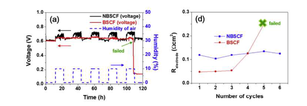 Double perovskite(NBSCF)의 수분 내구성