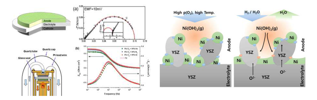 SOFC 작동모드에서 연료극 EIS 분석을 통한 분극현상 및 열화 메카니즘의 이해