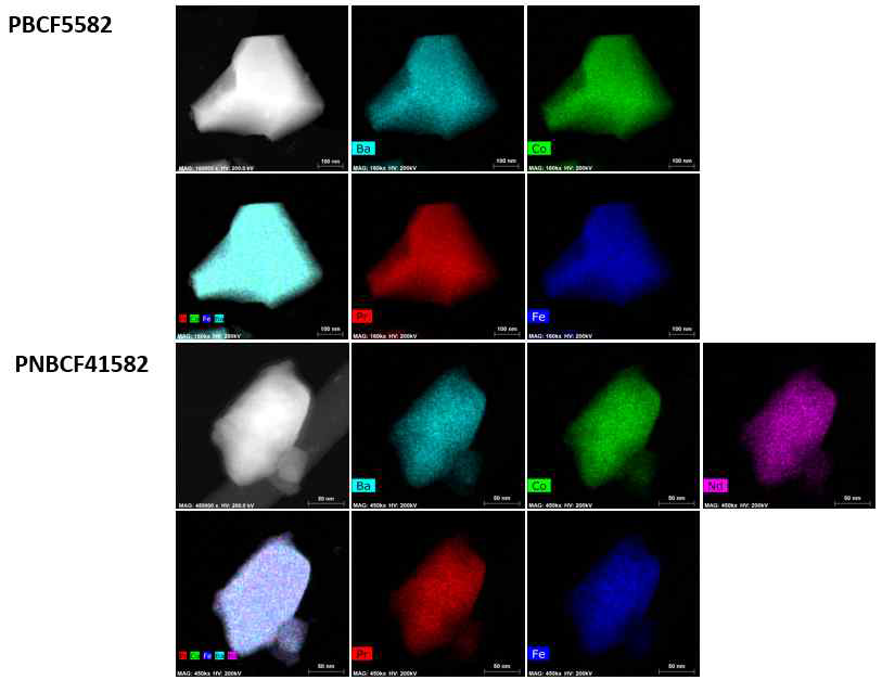 PBCF5582와 PNBCF41582의 TEM-EDX 결과