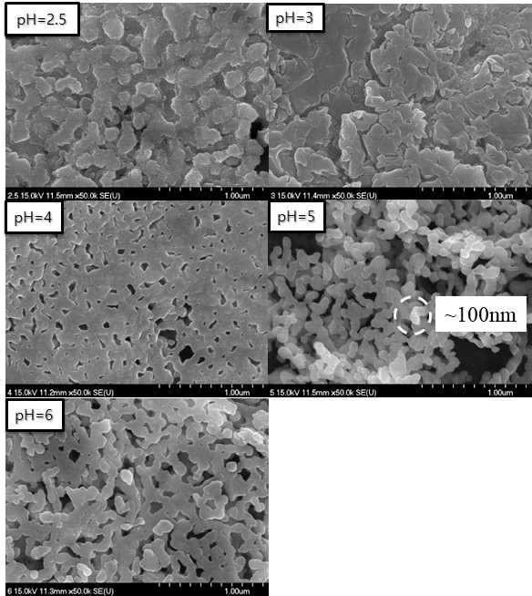 pH에 따른 SSC powder 형상 SEM image