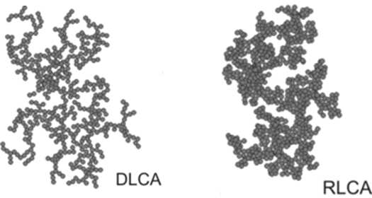 DLCA와 RLCA 모식도