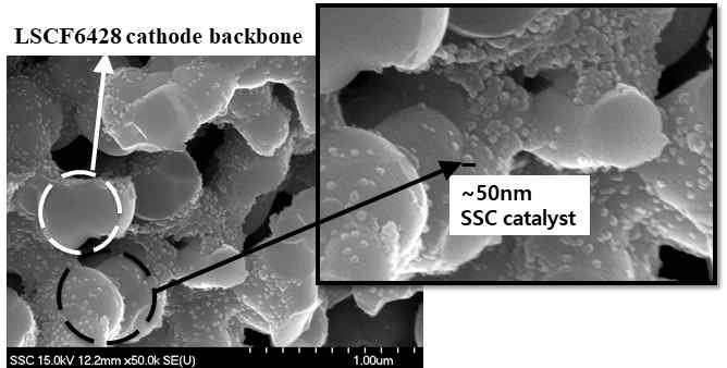 Infiltration 후의 LSCF6428 전극 SEM image