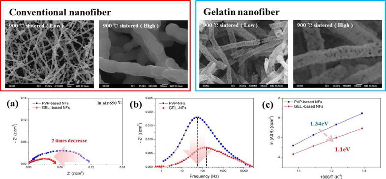 PVP 나노섬유, 젤라틴 나노섬유 구조분석(위) 및 고분자화합물에 따른 반 전지 임피던스 북석, 주파수 분석, 아레니우스 분석(아래)