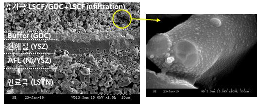 1세부 공기극 적용 LSTN 연료극 지지체 셀의 단면 SEM 미세구조 이미지