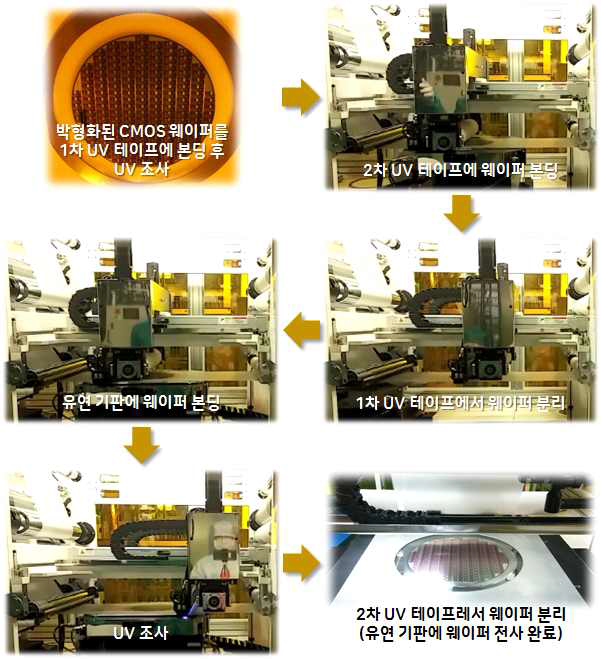 박형화된 8인치 CMOS 소자 웨이퍼의 유연기판으로의 롤전사 공정 순서도
