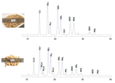 Triglyceride의 조성이 알려진 참깨와 대두