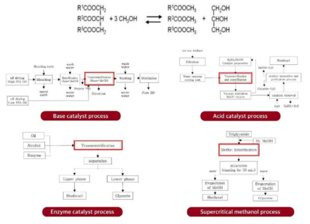유지의 에스테르화 교환 반응 및 대표적 에스테르 교환 반응 공정
