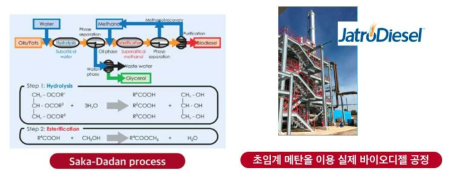 Saka-Dadan Process와 바이오디젤 Plant