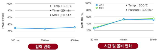 300 ℃에서 반응 압력, 시간, 몰비 변화에 따른 수율 변화