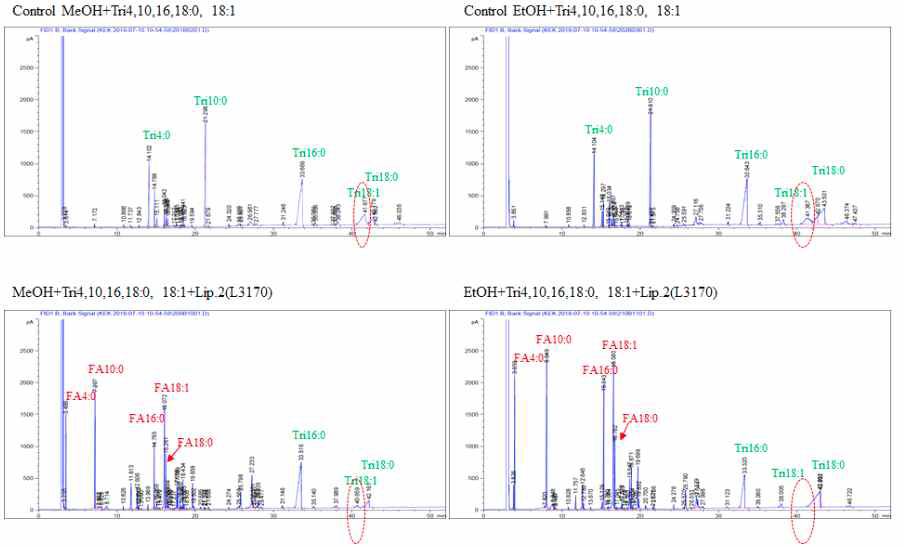 Triacylglyceride 4:0, 10:0, 16:0, 18:9, 18:1이 공존하는 상태에서 리파아제 L-3170에 의한 생성물 분석