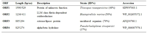 open reading frame (ORF) information of Lip-1420 gene according GeneBank