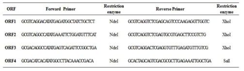 Forward and reverse primer of ORFs