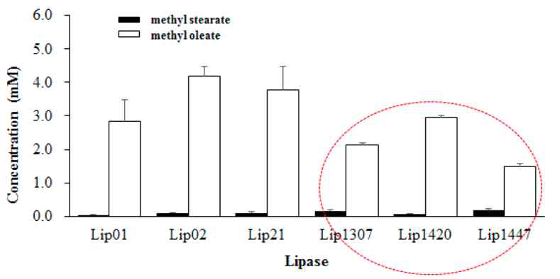 효소를 이용한 장쇄 tristearin (18:0)과 triolein(18:1)에 대한 선택적 리포밍 Methyl oleate from triolein and methyl stearate from tristearin catalyzed by lipases after 96h. Lip01, from Rhizomucor miehei (L4277); Lip02, from Candida sp. (L3170); Lip21, from Mucor javanicus (534803); Lip1307, Lip1420, Lip1447 are new lipase from metagenomic library in Korea