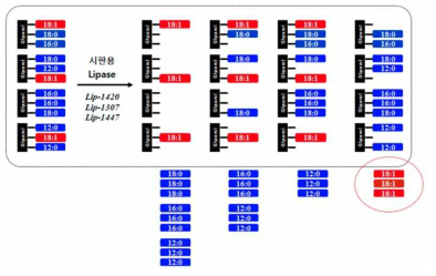 바이오오일로부터 생촉매를 이용하는 불포화 지방산의 선택적 조제 개념도