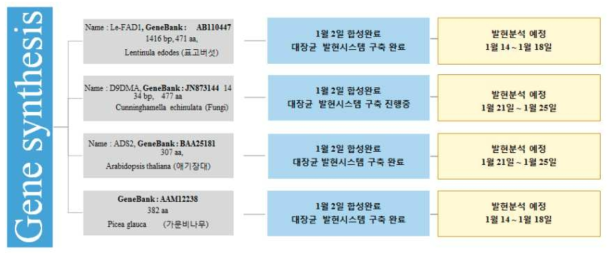 ∆9-desaturase의 후보 유전자 합성 및 발현