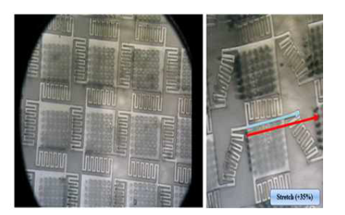 실제 제작된 스트레스 릴리프 플랫폼의 현미경 사진. (좌) 늘이기 전 (우) 35% 연신시
