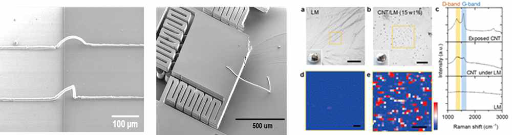 신축□전도성 나노소재 기반 다양한 3차원 interconnect 배선과 stress-relief 기판 상 형성, 신축성 금속과 나노소재 구조체의 표면 이미지와 G-band로 필터한 라만 스캐닝 이미지