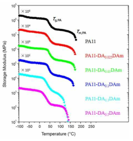 합성 폴리아미드11 공중합체의 DMA 그래프