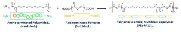 Synthesis scheme of polyester-amide block copolymers