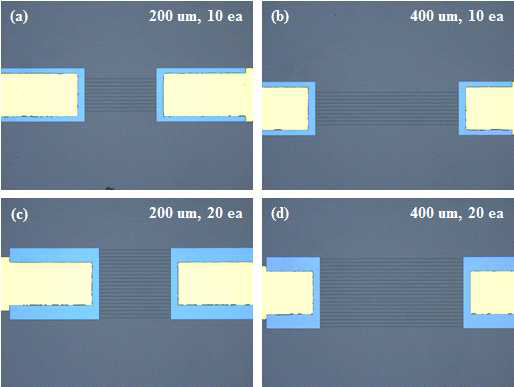 실리콘 나노선 파라미터 별 제작된 나노센서칩 패턴의 광학현미경이미지(a) 실리콘나노선200 um, array 형태10 ea, (b) 실리콘 나노선 400 um, array 형태 10 ea, (c) 실리콘나노선200 um, array 20 ea, (d) 실리콘나노선400 um, 10 ea