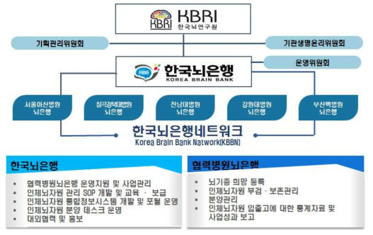 한국 뇌은행 추진체계 출처 : 한국뇌은행 네트워크 홈페이지