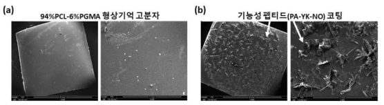 기능성 펩티드를 이용한 혈관 그래프트 시작품의 표면 개질. (a) 94%PCL-6%PGMA 형상기억 고분자 표면과 (b) 기능성 펩티드를 코팅한 혈관 그래프트 시작품의 표면의 SEM 분석